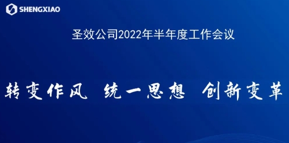 转变作风 统一思想 创新变革——圣效公司召开2022年半年度工作会